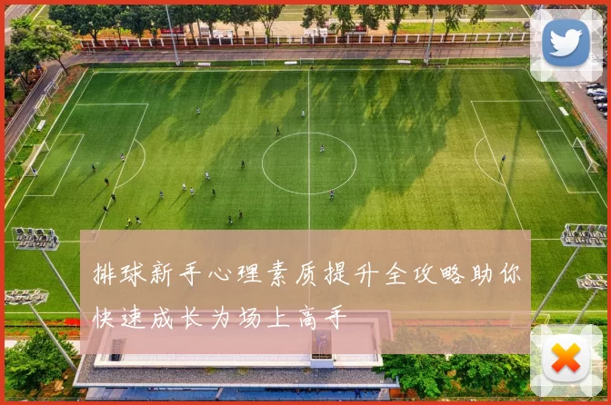 排球新手心理素质提升全攻略助你快速成长为场上高手