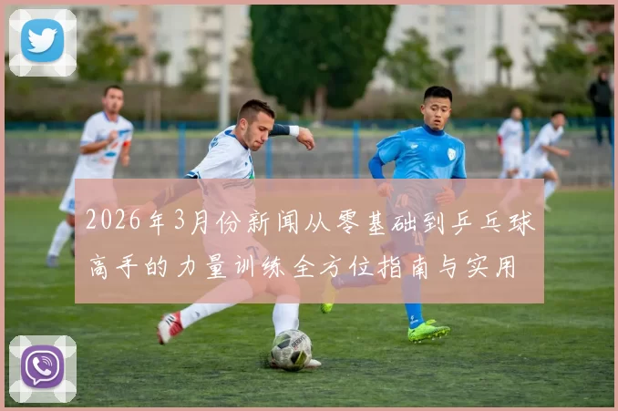 2026年3月份新闻从零基础到乒乓球高手的力量训练全方位指南与实用技巧分享